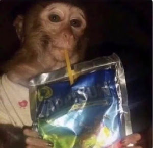 Meet your Posher, Leah